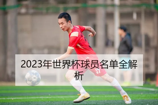 2023年世界杯球员名单全解析