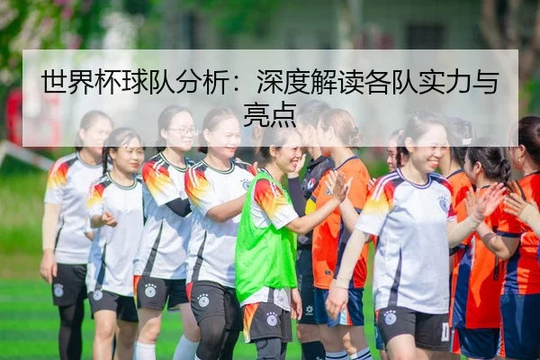 世界杯球队分析：深度解读各队实力与亮点