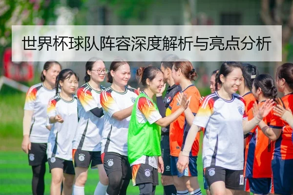 世界杯球队阵容深度解析与亮点分析