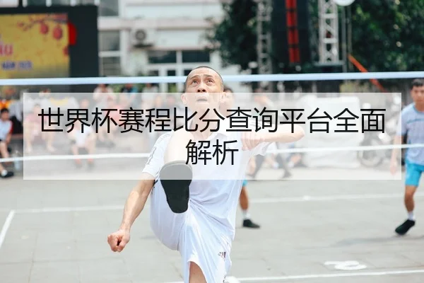 世界杯赛程比分查询平台全面解析